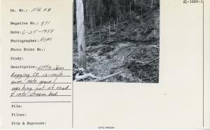 Little Jim Logging Company, 12-mile Arm. Note gravel washing out of road & into stream bed.