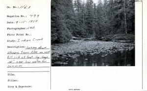 Looking down stream from R.P.A. on rock fill crib of foot log. Gage .65', near low water for summer.