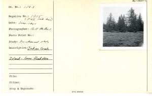 Indian Creek.  Island - lower flood plain.  (Fisheries Research Institute prob. has)