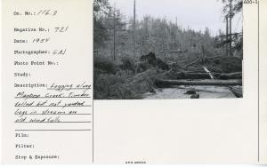 Logging along Maybeso Creek. Timber felled but not yarded. Logs in stream are old windfalls.