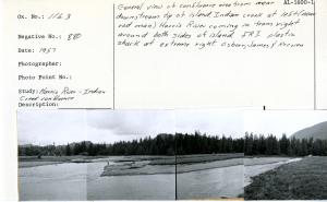 General view of confluence area from near downstream tip of island. Indian creek at left (near rod man). Harris River coming in from right around both sides of island. Fisheries Research Institute (FRI) plastic shack at extreme right. Osborn, James, & Kresien. Four separate photos to make panorama.
