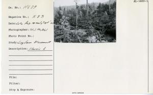 Harris River. Late August-early September, 1960.