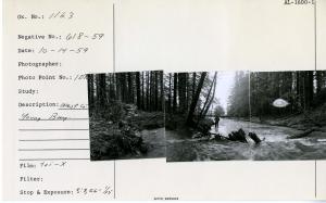 West Creek - Young Bay. Photo point: 107. Three photos glued together.