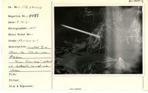 Located 1/3 mile down from 150 bridge over Maybeso Creek. Shows "fire-hose" method at hydraulic-ing sediment Into stream. [Photographer possibly John Tallmadge.]
