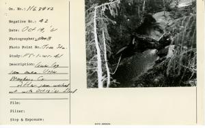 Lower log jam area. Upper Maybeso Creek. After jam washout with October 13, 1961 flood. Photo point: Tree sta.