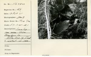 Lower log jam area. Upper Maybeso Cr. After October 13, 1961 flood & washout of jam. Photo point: Tree sta.