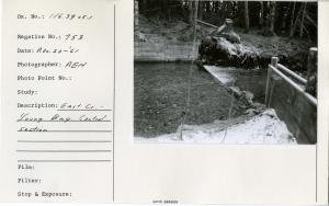 East Creek - Young Bay control section.