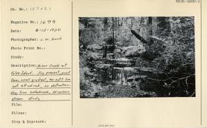 Minor creek at False Island. Fry present, small flow, small gradient, too soft for cat. Silt and rock, no obstruction. Negative from Kodachrome, 30-salmon stream study.