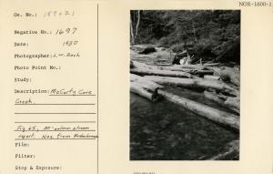 McCarty Cove Creek. Figure 65 from 30-salmon stream report.