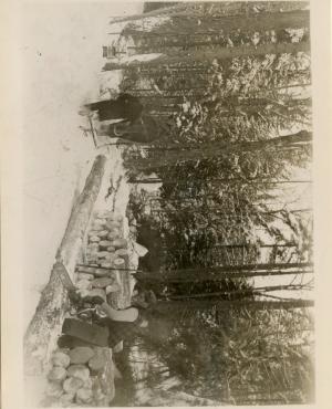 Bucking pulpwood at the landing on comp 35. Shows chainsaw in use; also horse and harness used for skidding.