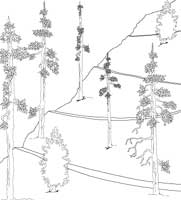 Illustration showing a gently sloped trail on a hill with three switchbacks.