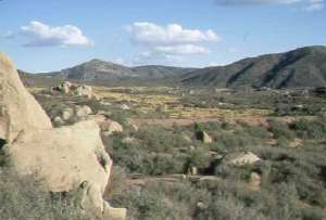 Chaparral shrublands