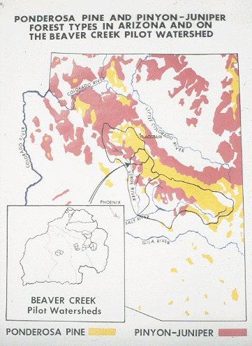 Beaver Creek Watershed location of watershed in the state of Arizona