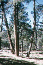 wm191