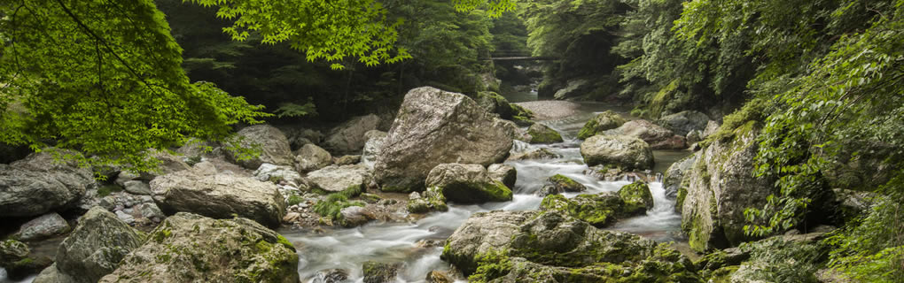 Aquatics, Stream Study