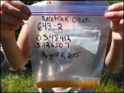 example of an eDNA sample collected