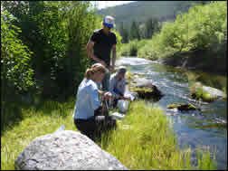 Three people sampling eDNA in the field