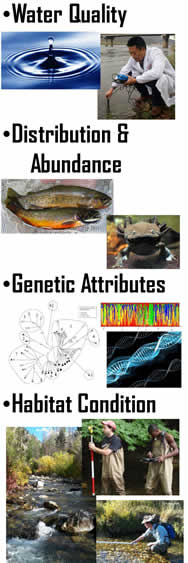 Water Quality, Distribution and Abundance, Genetic Attributes, Habitat Condition
