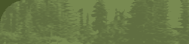 silhouetted trees