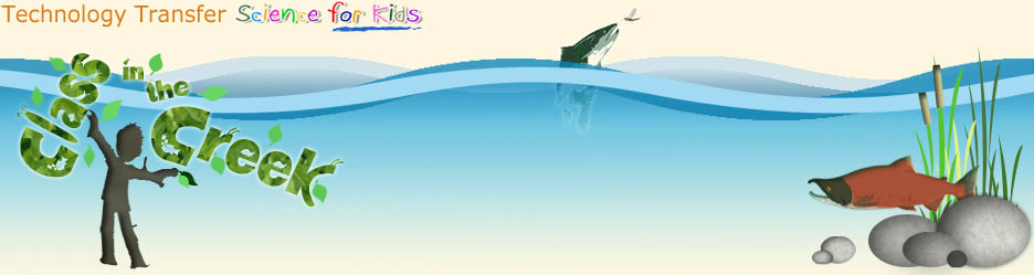 Class in the Creek header - science for kids