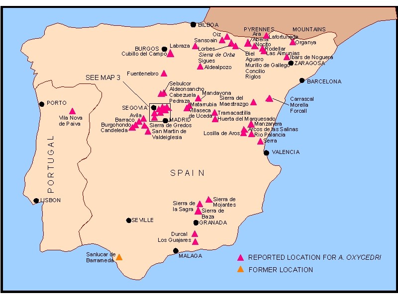 Map 2 Distribution of Arceuthobium oxycedri in Spain