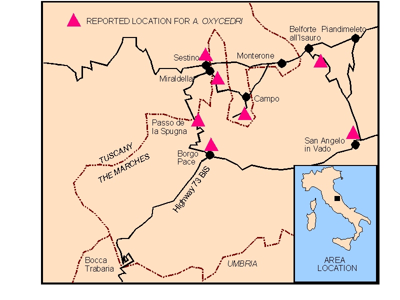 Map 5 Distribution of Arceuthobium oxycedri in Tuscany and the Marches, Italy.