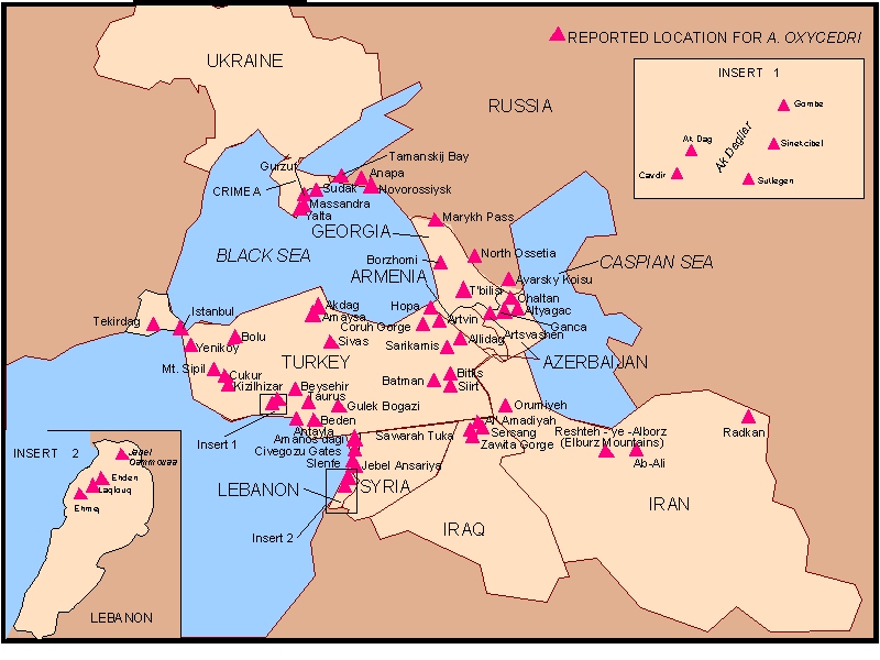 Map 8 Distribution of Arceuthobium oxycedri in Ukraine, Russia, Georgia, Azerbaijan, Turkey, Syria, Lebanon, Iraq, and Iran.