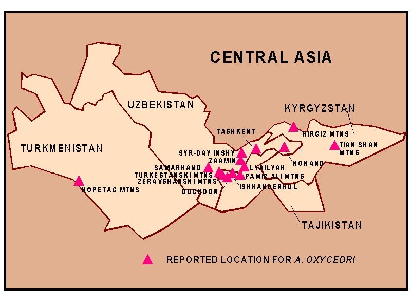 Map 10 Distribution of Arceuthobium oxycedri in Central Asia (adapted from Takhadjian 1973).