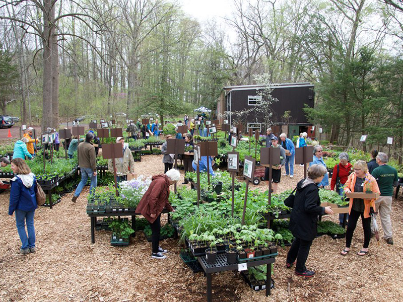 People at a plant sale