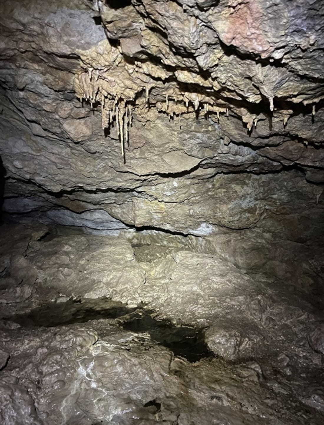 Stalactites and pooled water in a cave.