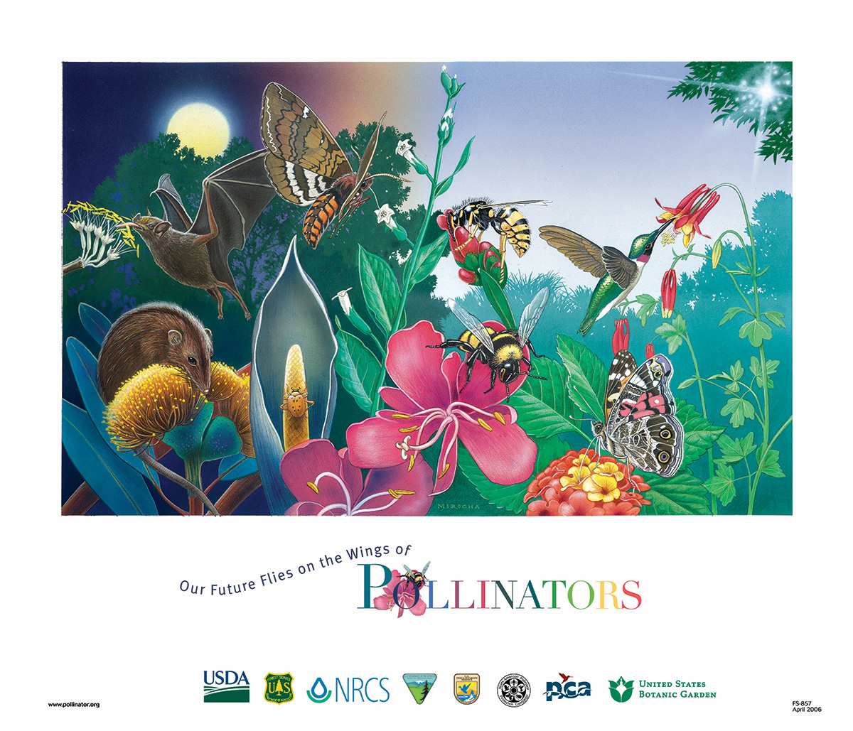 "Image of a pollinators poster with illustrated pollinator insects and animals."