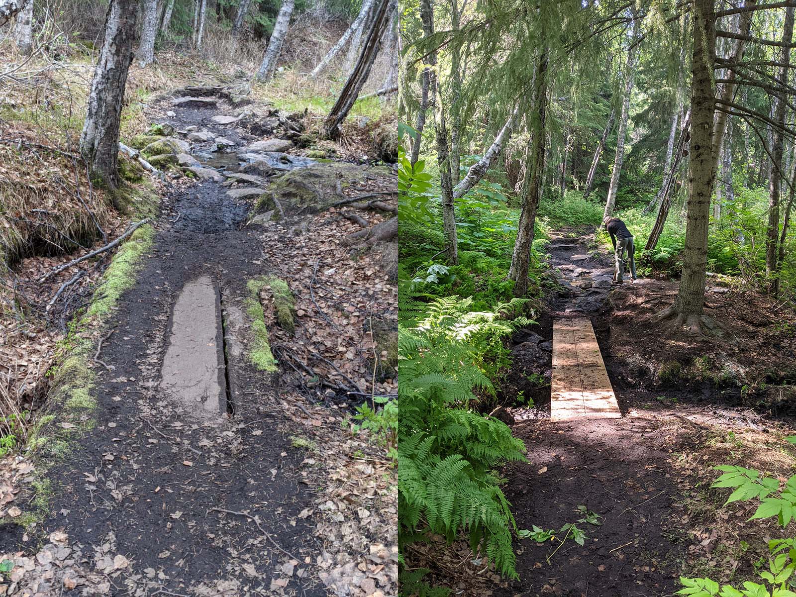 A before and after picture of trail work.