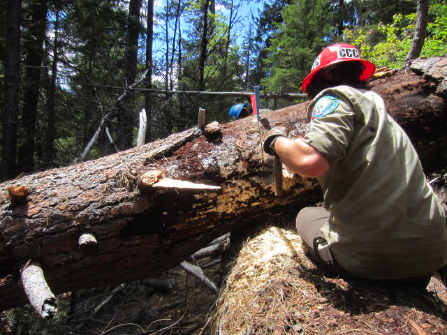 Image of two workers cutting a log with a crosscut saw.