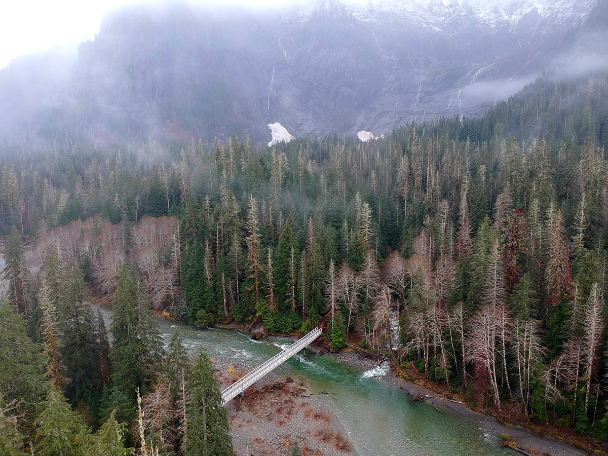 An aerial image of the newly repaired Big Four Ice Caves bridge spanning the South Fork Stillaguamish river.  Heavily wooded forest appears on both sides of the bridge and river.