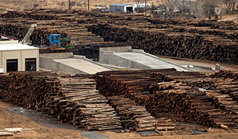  Large stacks of delimbed timber in piles at a saw mill