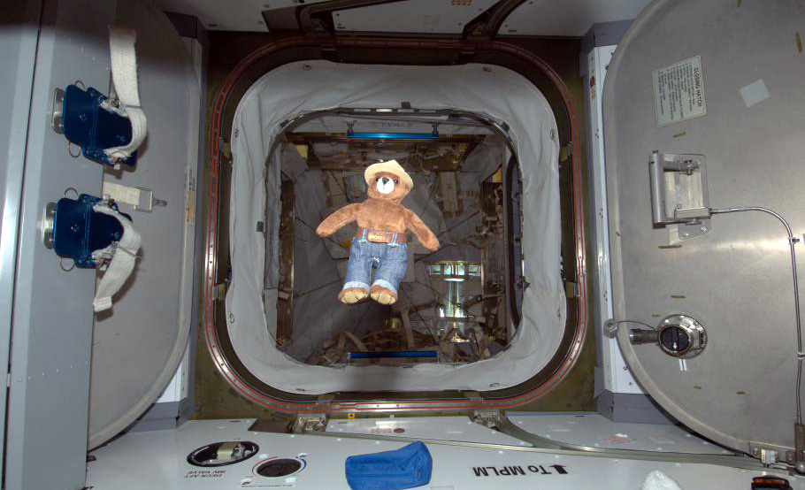 Image shows a doll of Smokey Bear floating in front of an open hatch inside the International Space Station.