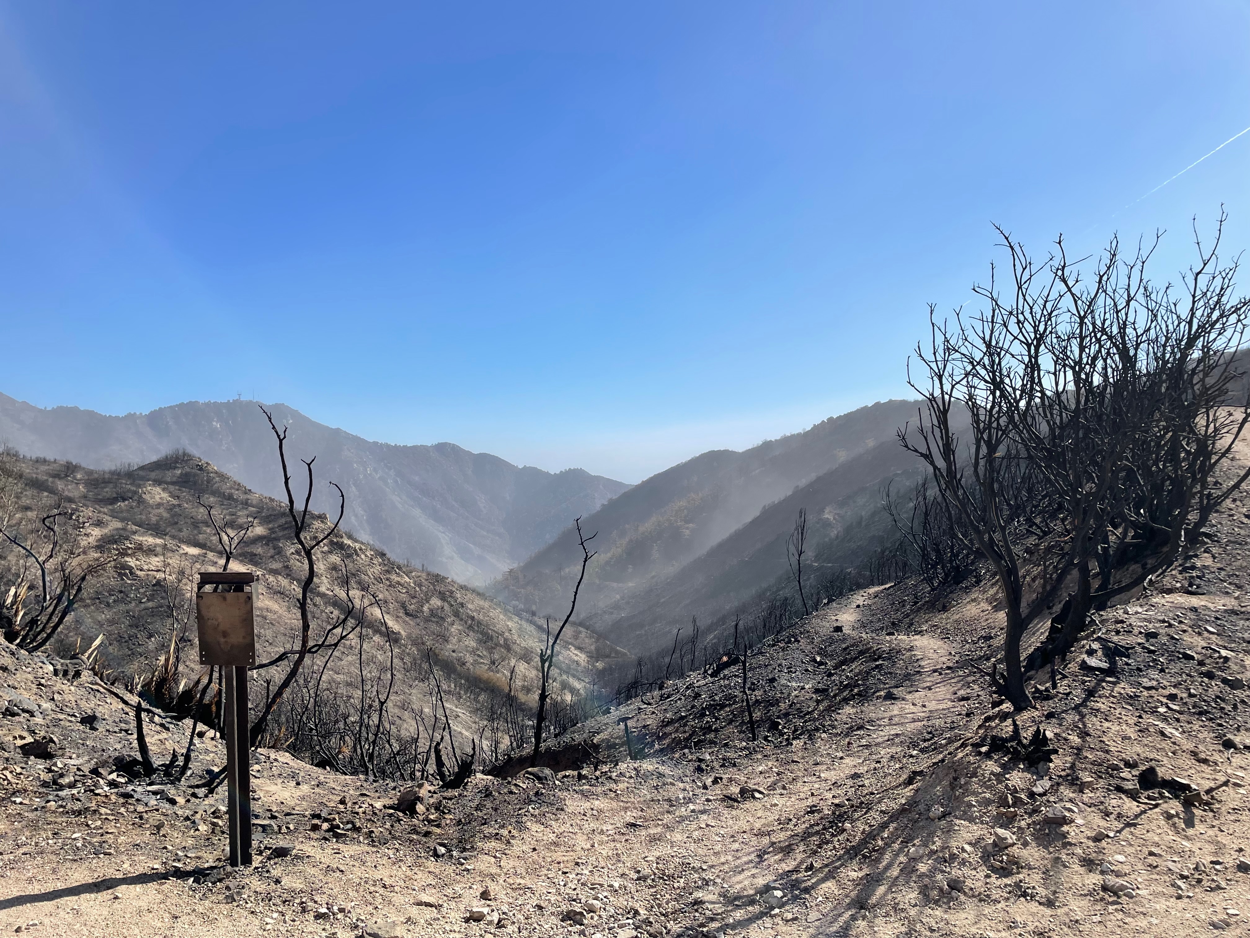 A charred shrub and sign are shown in the foreground. In the midground, blackened remains of shrubs descend a hillslope and out of view. The background depicts steep hills in the distance.