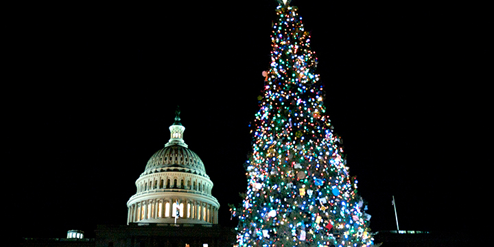 A picture of the Capitol Christmas tree lit up at night with the U.S. Capitol behind it, also with it's lights on.