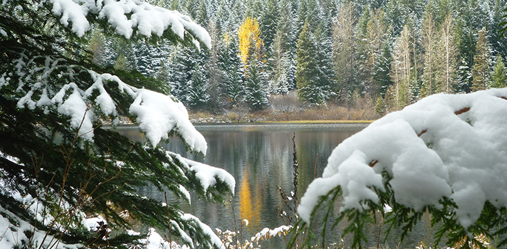 A scenic winter picture with several tree branches in the foreground and a lake in the background, with snow on the trees.