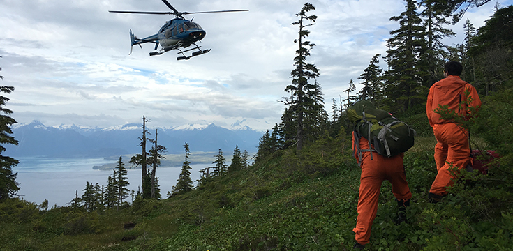 A picture of a helicopter hovering near a hillside after dropping off two forest workers.