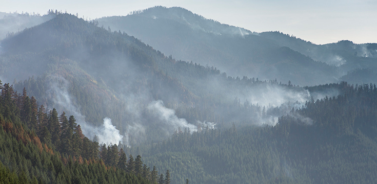 A picture of a smokey covered hillside where smoke from fires is burning in multiple areas.
