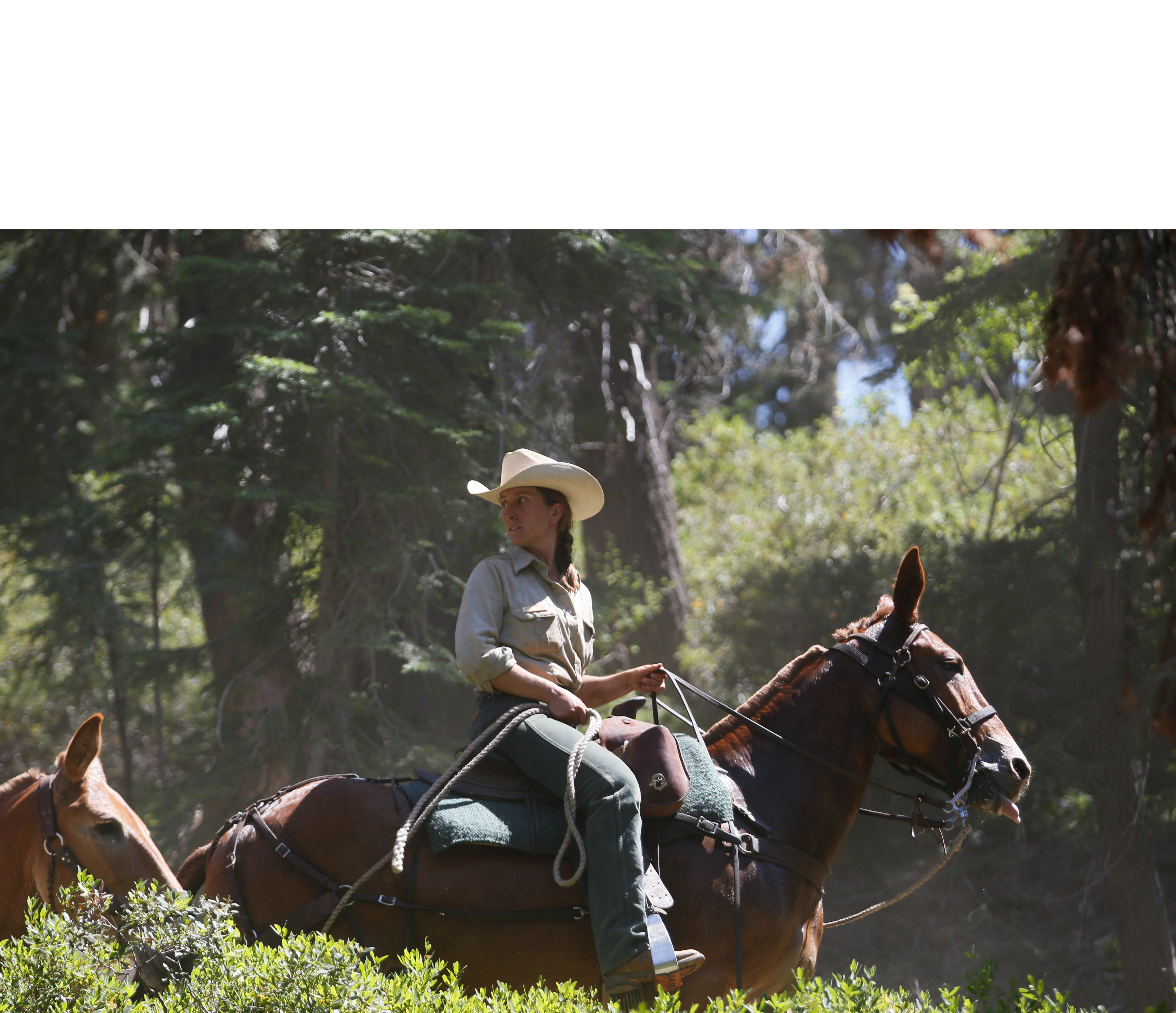 Packer riding a horse with supplies