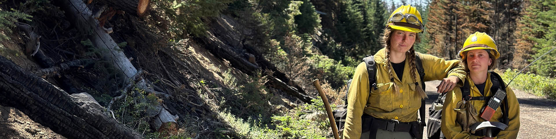 Two Forest Techs standing on a mountain side road