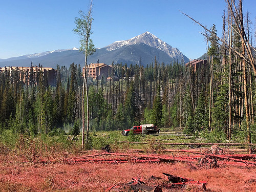 A picture of fire retardant (pink in color, and in the foreground).  Structures and the Rocky Mountains are in the background.