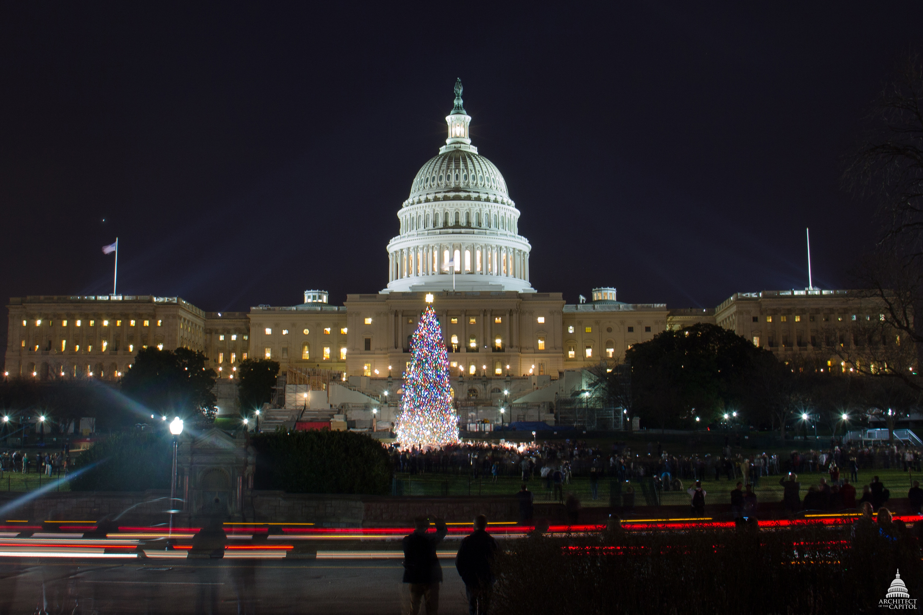 The Capitol building looks down on the lit Capitol Christmas tree