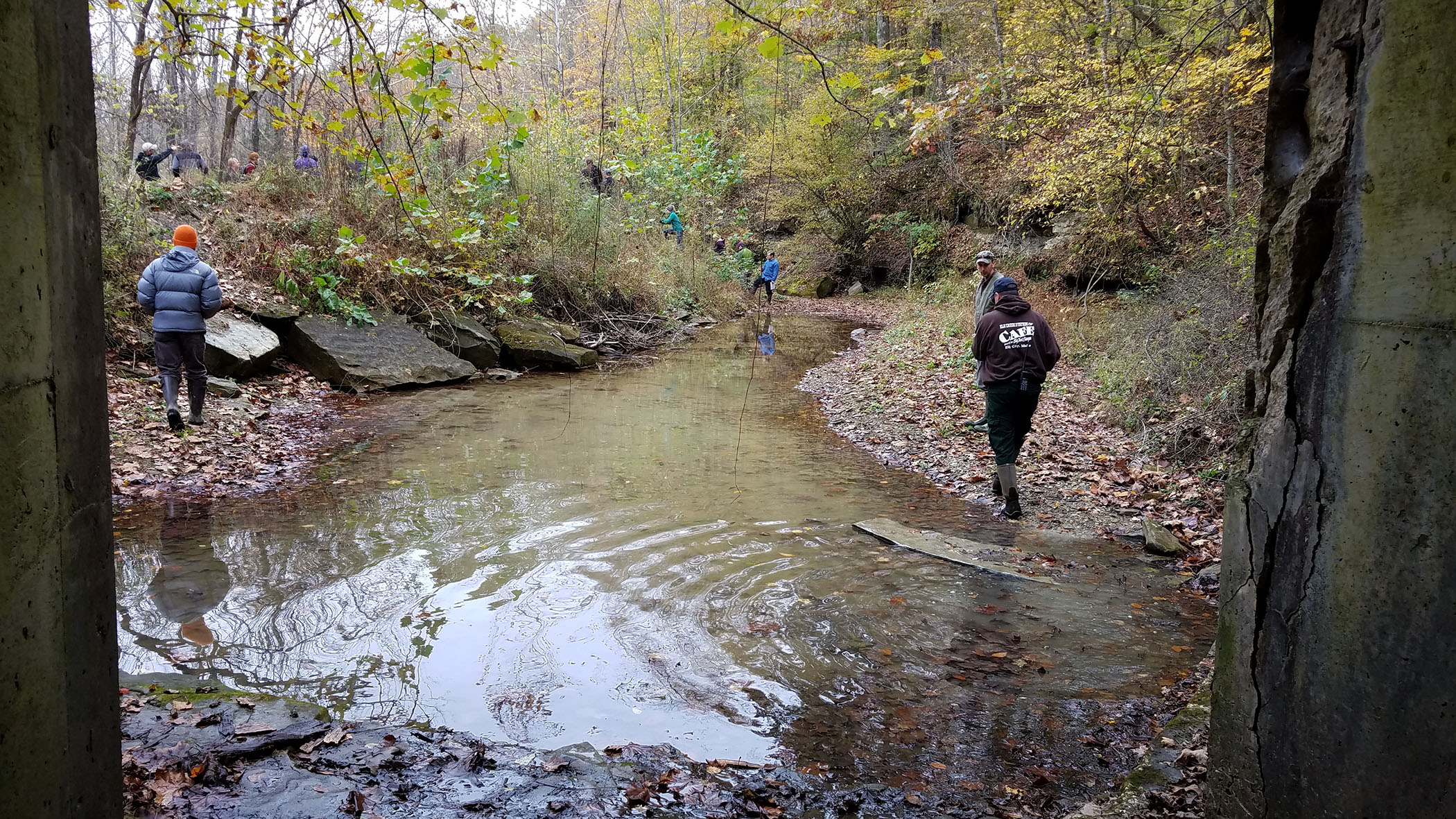 Photo: People hike through forest and along stream. The ground is covered with fallen leaves.
