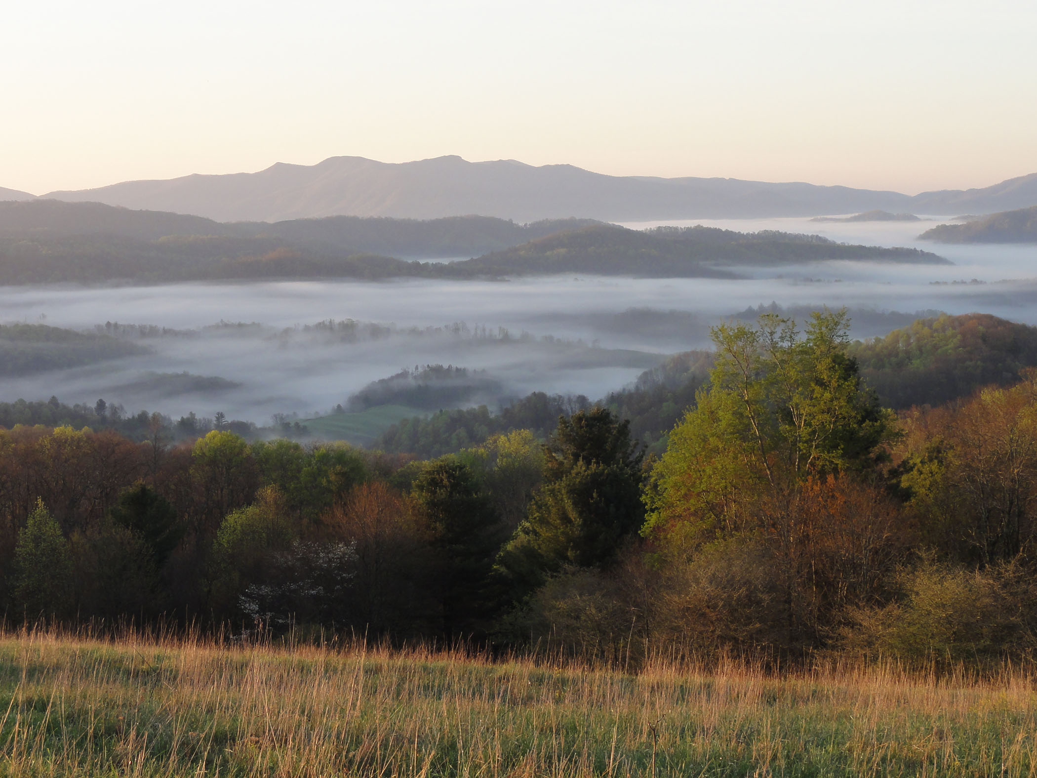 Photo: Overlooking Cut Laurel Gap from hilltop. Forests are changing to fall colors. A heavy mist hangs over the valley.