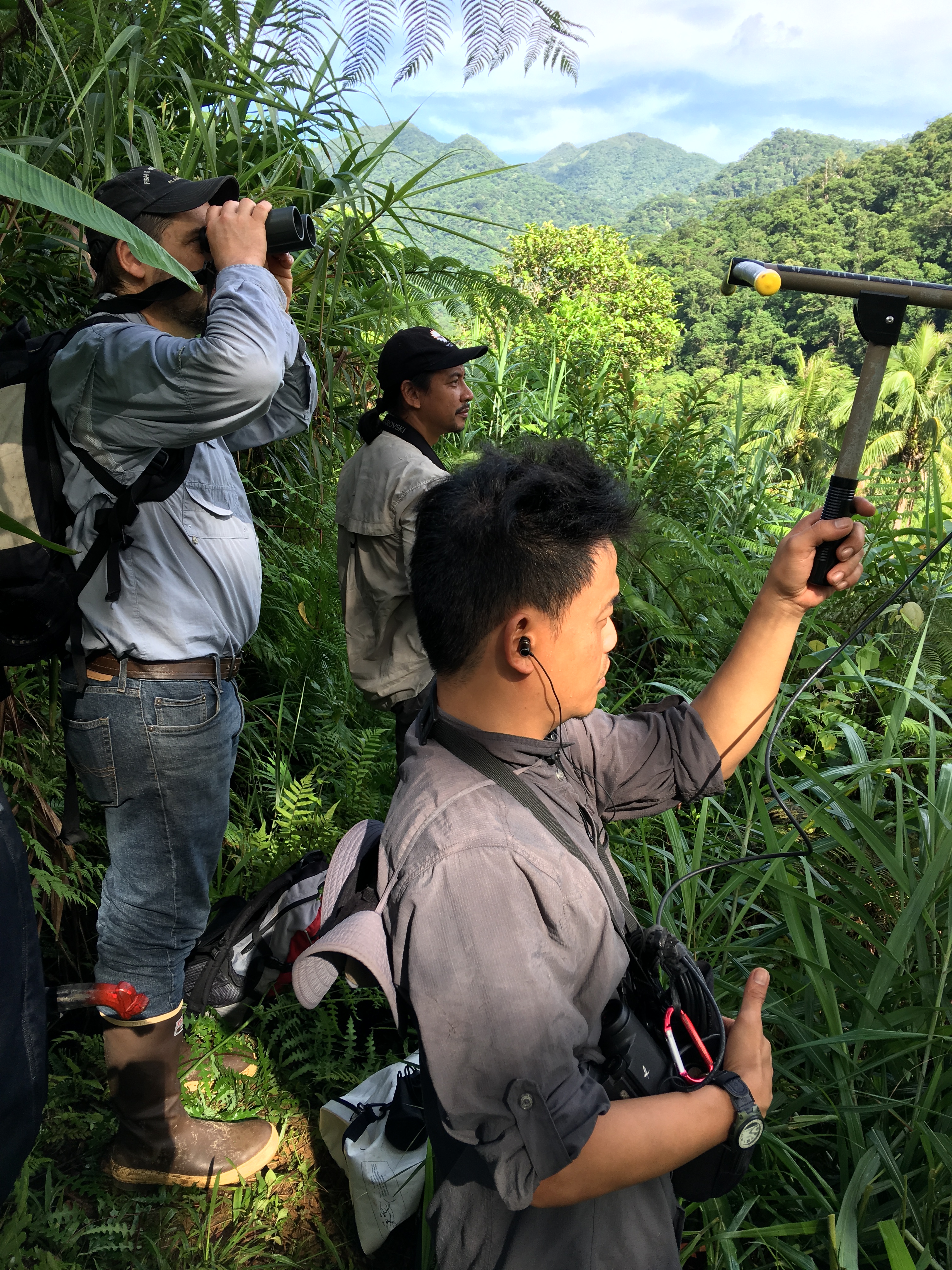 Forest Service and Philippines Eagle Foundation partners track a tagged eagle in Apayao province