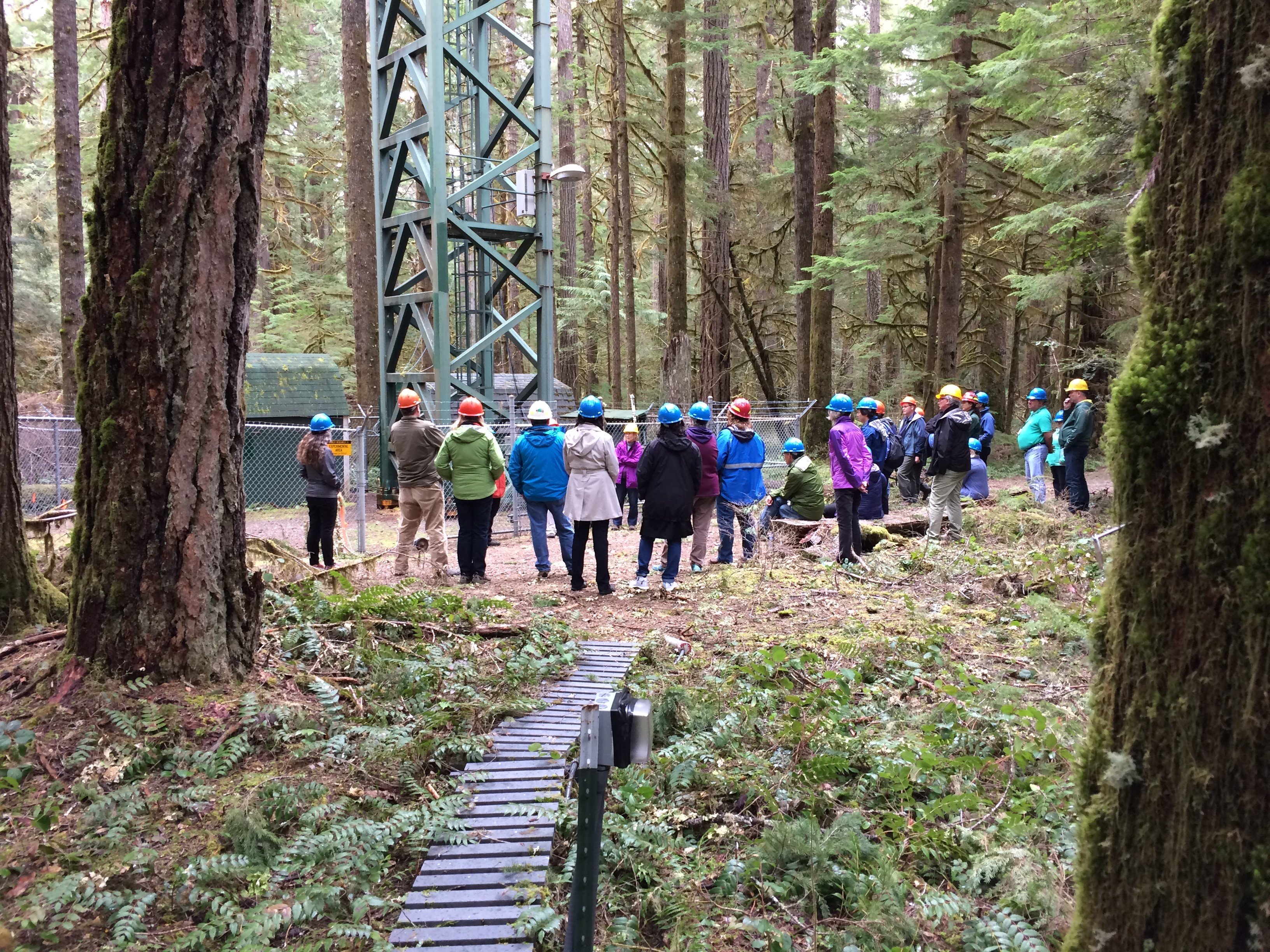 Review participants tour Wind River Experimental Forest