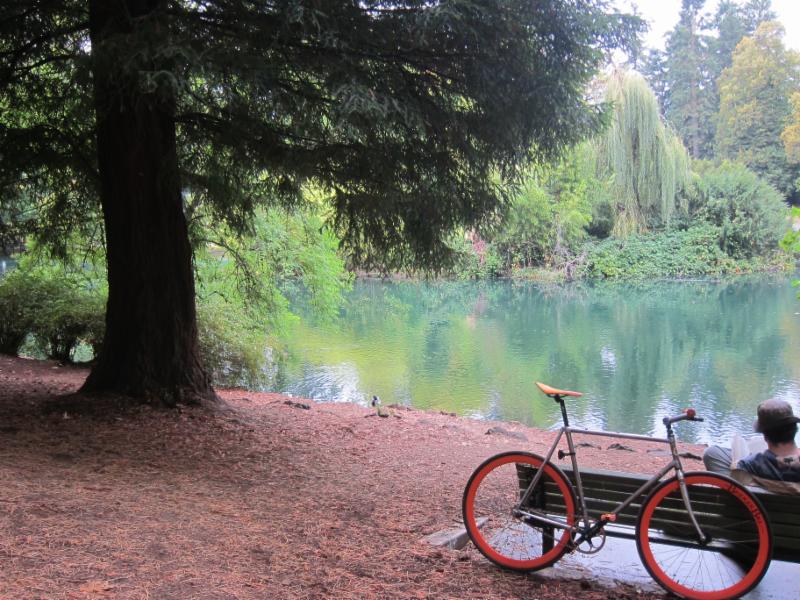 A photo of a bench next to a man made pond surrounded by urban trees